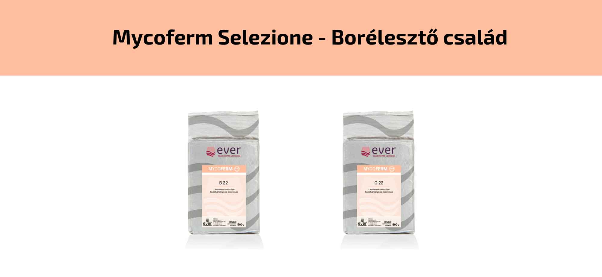 Mycoferm-Selezione-Borélesztő-család Mycoferm-Selezione-borászati fajélesztő család